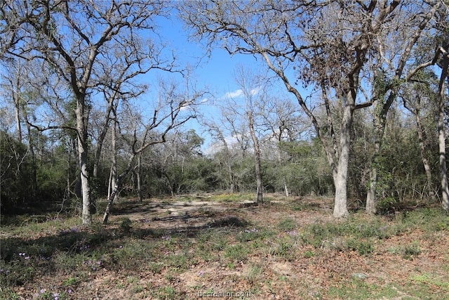 view of landscape