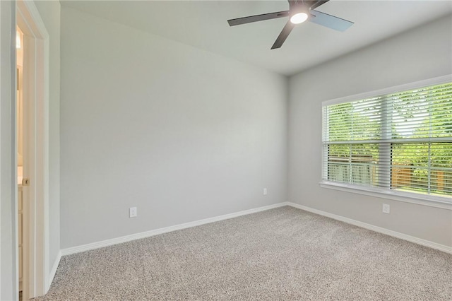 304 Poplar St, College Station, TX 77840 - photo 8