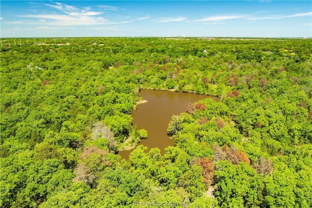 TBD Fm 2154, College Station, TX 77845 - photo 4