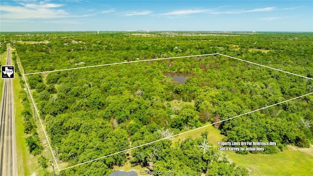 Listing photo 3 for TBD Fm 2154, College Station TX 77845