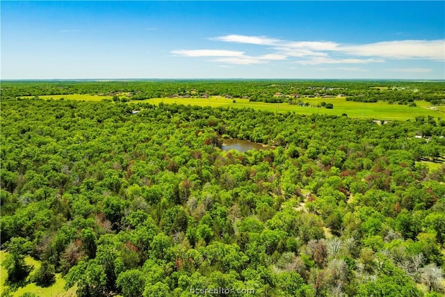 TBD Fm 2154, College Station, TX 77845 - photo 5
