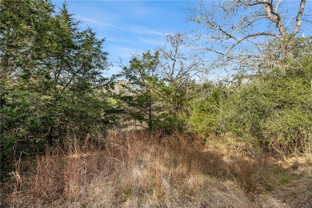 6735 Old Smithville Rd, Tx, TX 78941 - photo 14