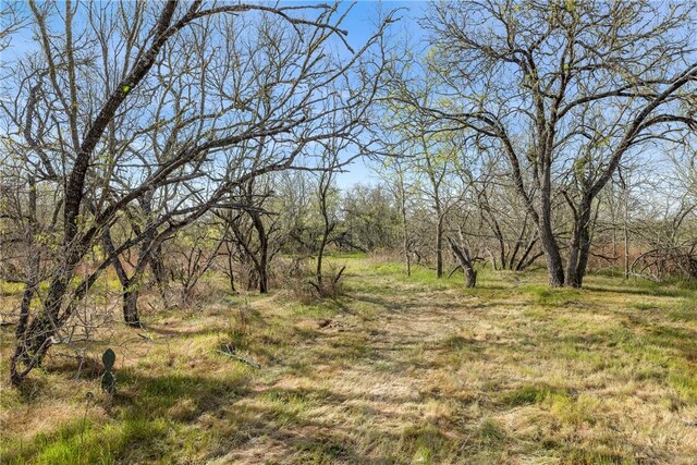 6735 Old Smithville Rd, Tx, TX 78941 - photo 2