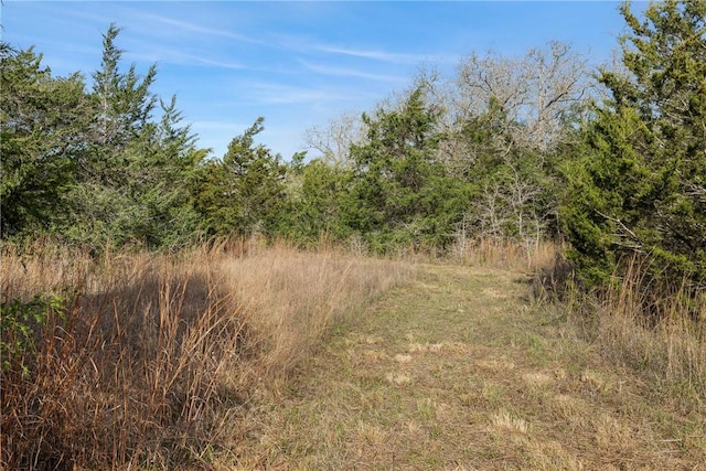 6735 Old Smithville Rd, Tx, TX 78941 - photo 12