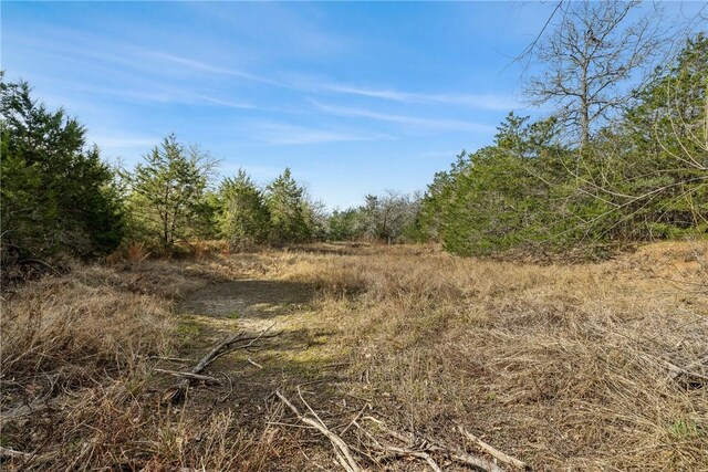 6735 Old Smithville Rd, Tx, TX 78941 - photo 15