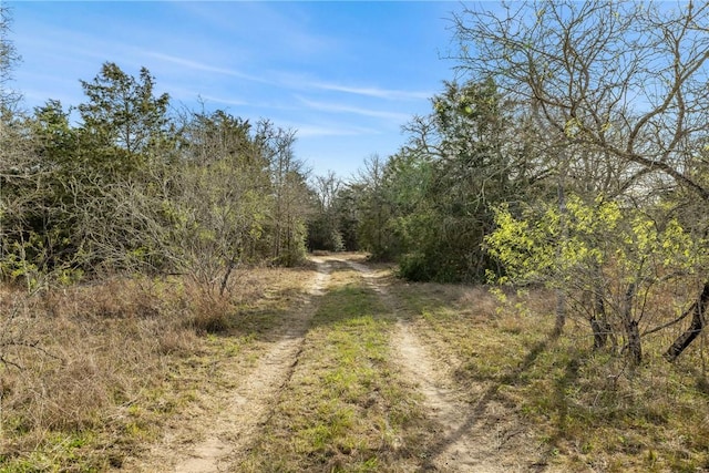 6735 Old Smithville Rd, Tx, TX 78941 - photo 3
