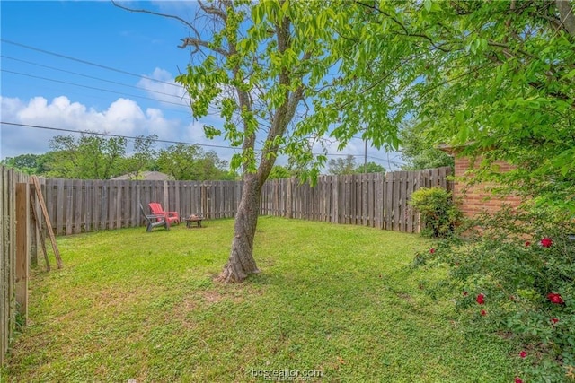 2308 Carnation Ct, College Station, TX 77840 - view of yard