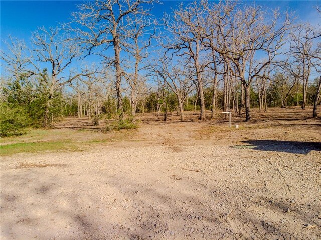 LOTS211 Forest Oak Rd, Somerville, TX 77879 - photo 12
