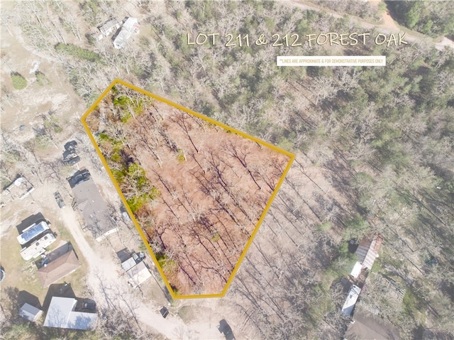 LOTS211 Forest Oak Rd, Somerville, TX 77879 - photo 1