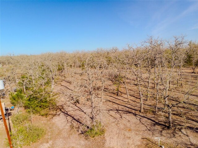 LOTS211 Forest Oak Rd, Somerville, TX 77879 - photo 10