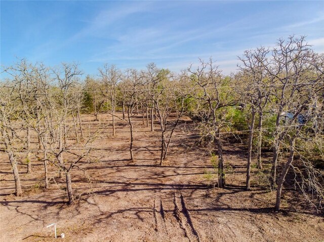 LOTS211 Forest Oak Rd, Somerville, TX 77879 - photo 8