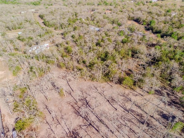 LOTS211 Forest Oak Rd, Somerville, TX 77879 - photo 3