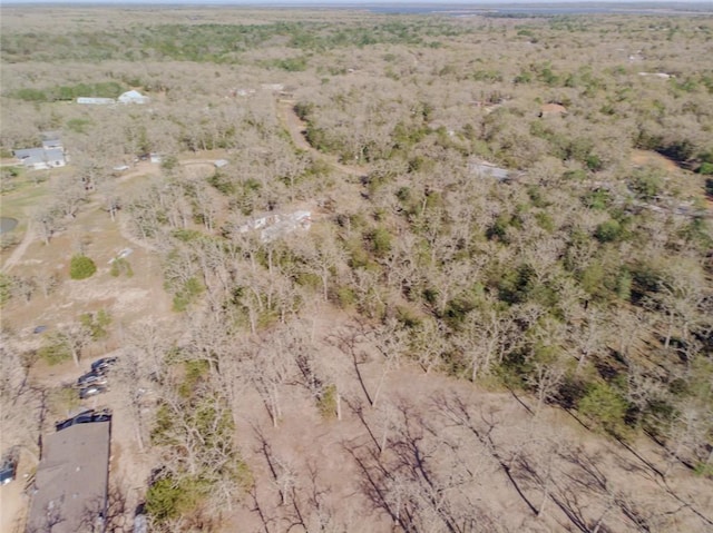 LOTS211 Forest Oak Rd, Somerville, TX 77879 - photo 2