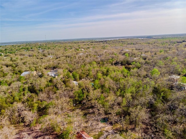 LOTS211 Forest Oak Rd, Somerville, TX 77879 - photo 4