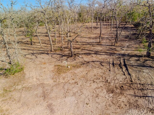 LOTS211 Forest Oak Rd, Somerville, TX 77879 - photo 11