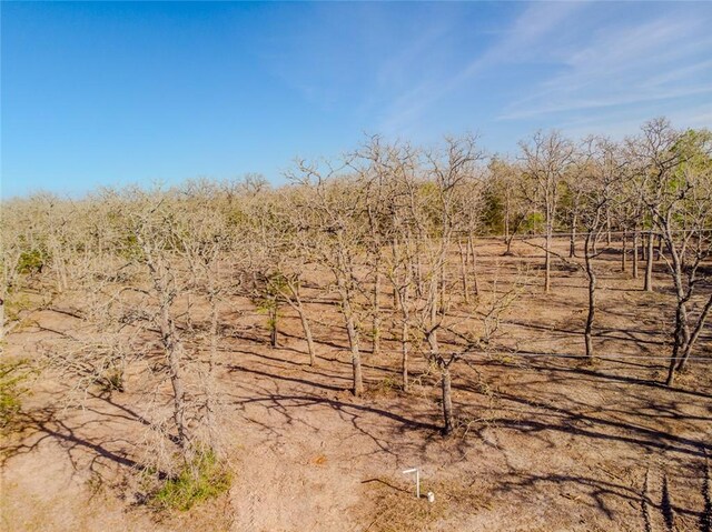 LOTS211 Forest Oak Rd, Somerville, TX 77879 - photo 9