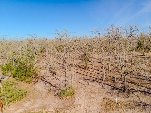 LOTS211 Forest Oak Rd, Somerville, TX 77879 - photo 7