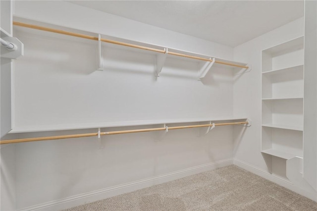 1208 Robinsville Ct, College Station, TX 77845 - walk in closet with carpet flooring
