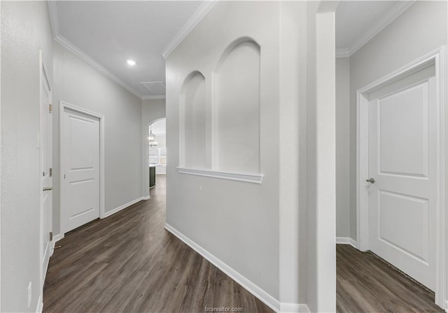 corridor with crown molding and dark wood-type flooring