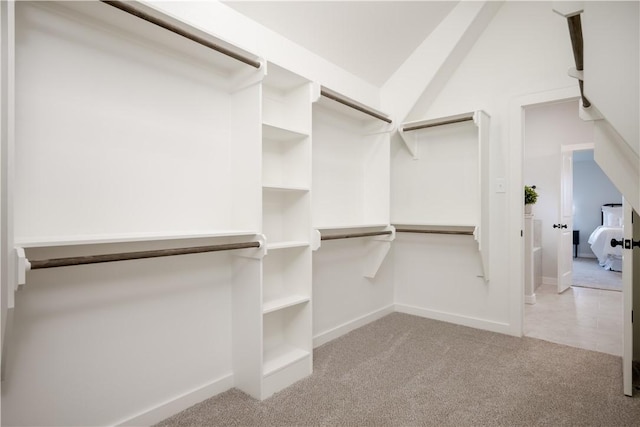 spacious closet with light carpet