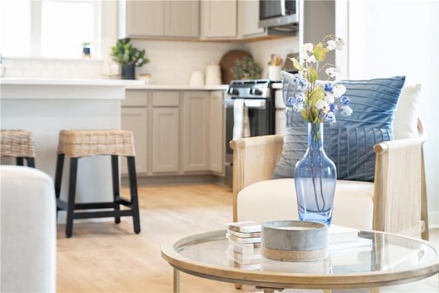 kitchen featuring light hardwood / wood-style floors and appliances with stainless steel finishes