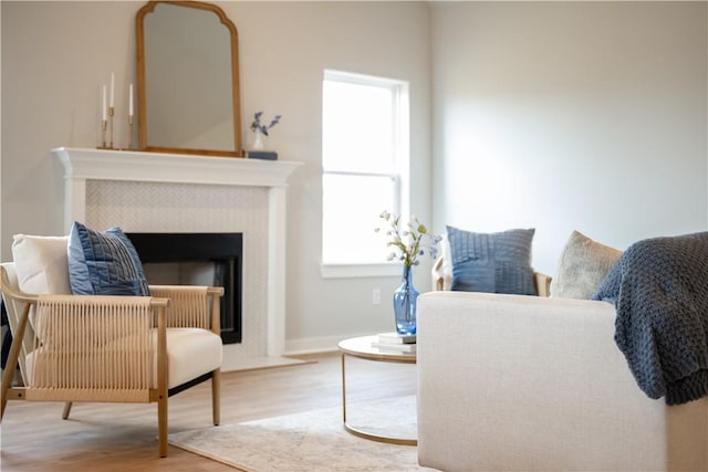 sitting room featuring hardwood / wood-style flooring