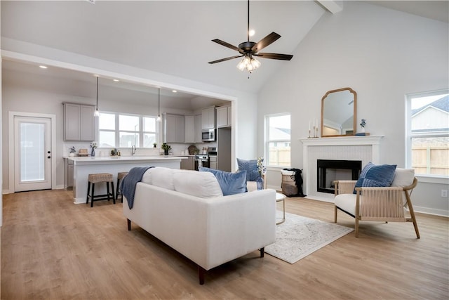 living room with plenty of natural light, high vaulted ceiling, and light hardwood / wood-style flooring