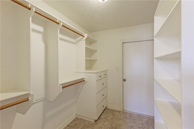 walk in closet featuring light colored carpet