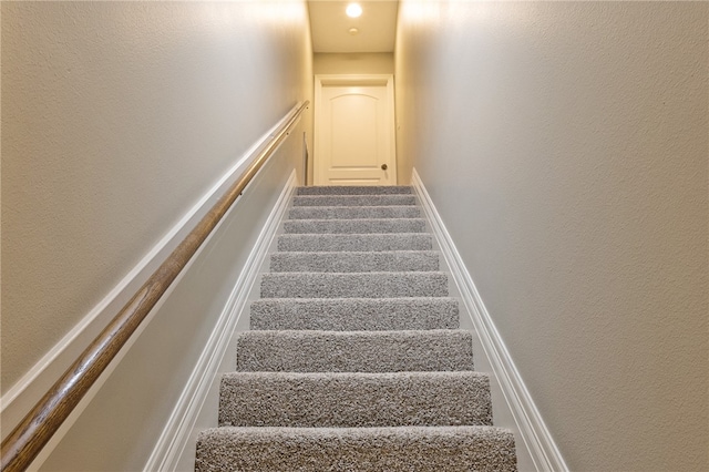 staircase featuring carpet flooring