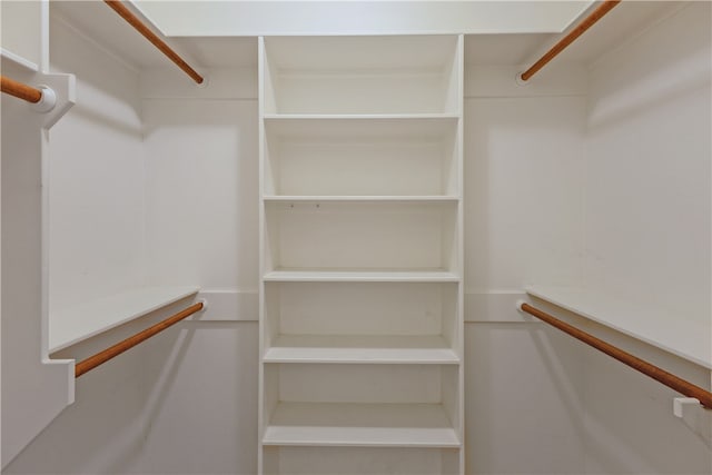 view of walk in closet