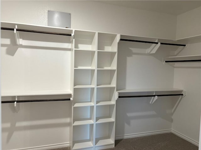 walk in closet featuring carpet flooring