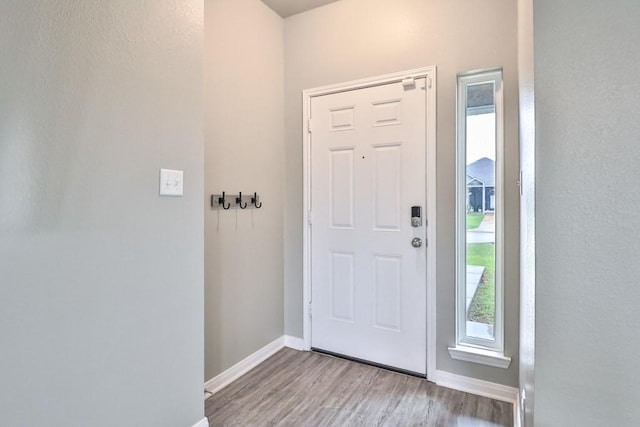 107 Meadow Lake Ct, Navasota, TX 77868 - entryway with wood finished floors, baseboards, and a textured wall