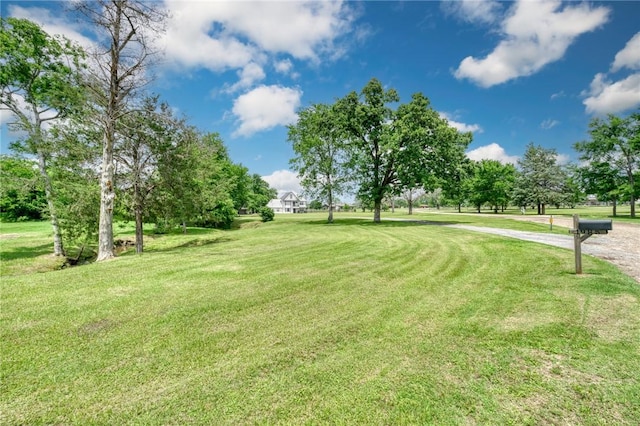 view of yard