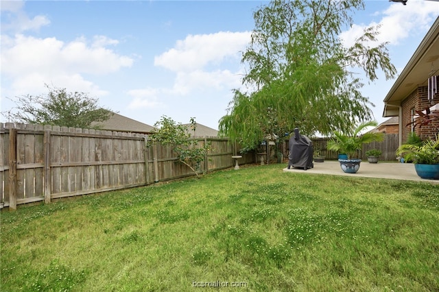 934 Dove Landing Ave, College Station, TX 77845 - view of yard featuring a fenced backyard and a patio area