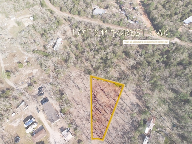 Lot211 Forest Oak, Somerville, TX 77879 - photo 1