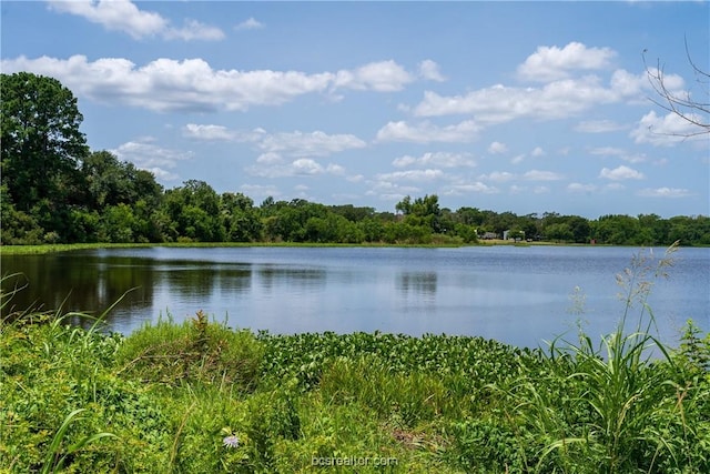 TBD Magnolia Dr, Caldwell, TX 77836 - photo 4