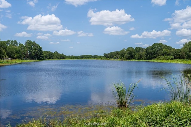 TBD Magnolia Dr, Caldwell, TX 77836 - photo 6