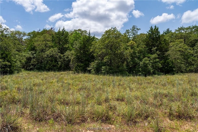 TBD Magnolia Dr, Caldwell, TX 77836 - photo 5