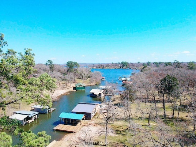 property view of water with a dock