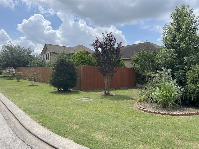 301 Pine Mist Ln, Conroe, TX 77304 - view of yard