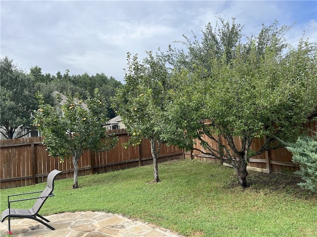 301 Pine Mist Ln, Conroe, TX 77304 - fenced backyard with a patio area