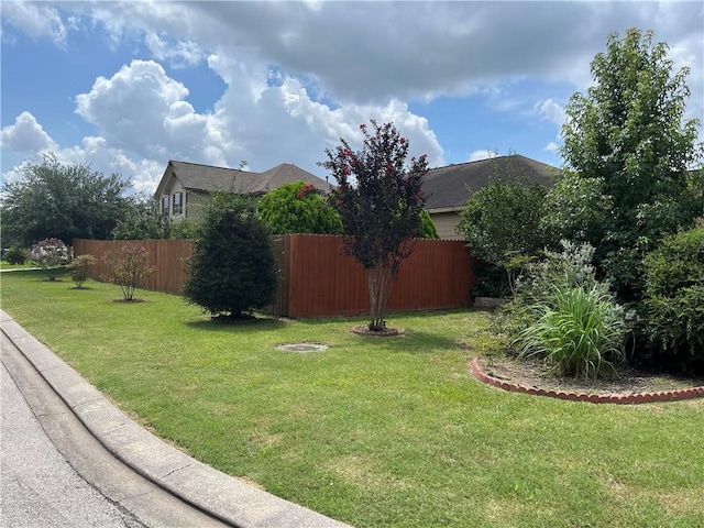 301 Pine Mist Ln, Conroe, TX 77304 - view of yard