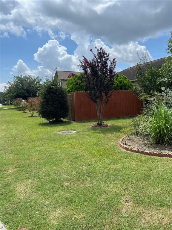 301 Pine Mist Ln, Conroe, TX 77304 - view of yard