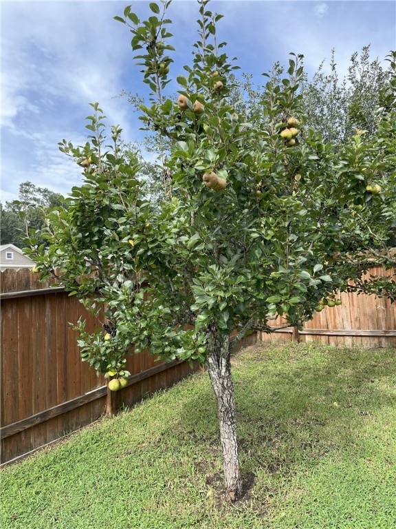 301 Pine Mist Ln, Conroe, TX 77304 - view of yard
