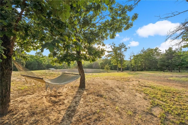 740 Bridget Ave, Buffalo, TX 75831 - view of yard