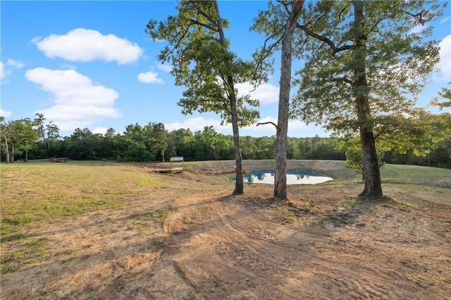 740 Bridget Ave, Buffalo, TX 75831 - view of yard