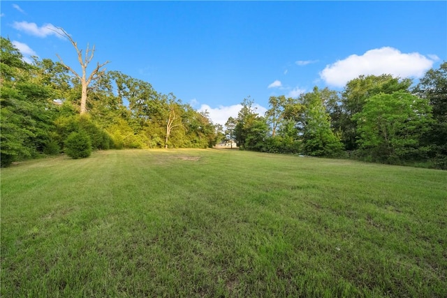 740 Bridget Ave, Buffalo, TX 75831 - view of grassy yard