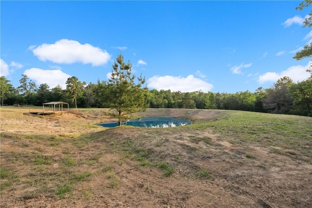 740 Bridget Ave, Buffalo, TX 75831 - view of yard