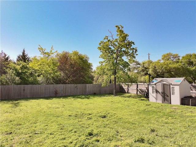 view of yard with a shed