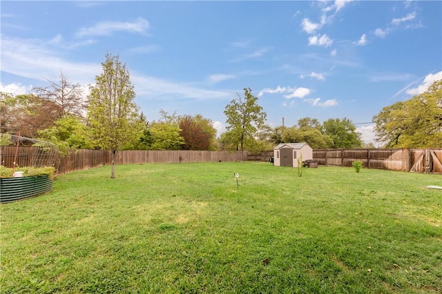 view of yard featuring a shed